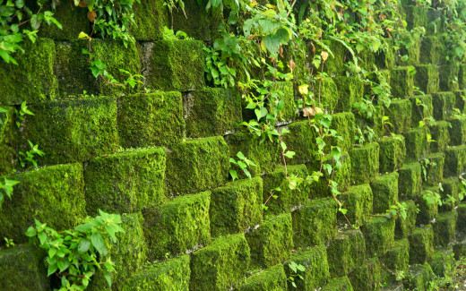 660937 (a): :1920x1200